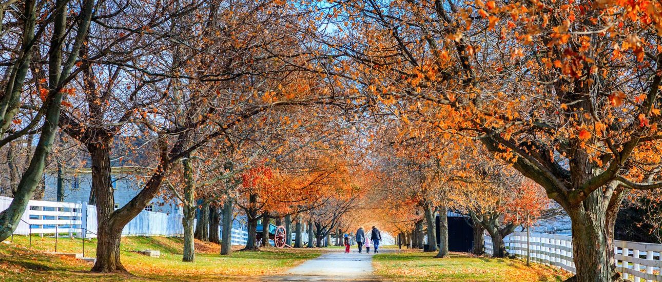 Family Walking in the Park