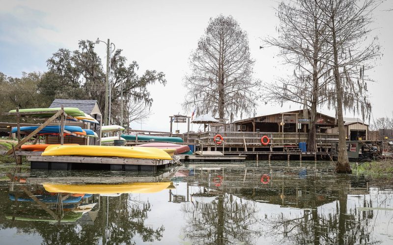 Louisiana bayou tours