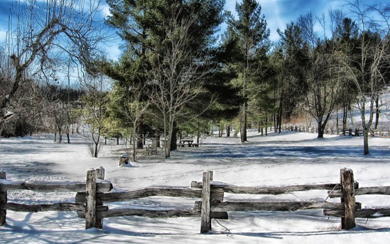 North Carolina in Winter