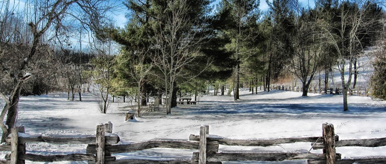 North Carolina in Winter