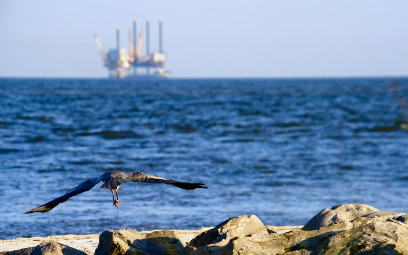 Offshore energy production in the Gulf of Mexico