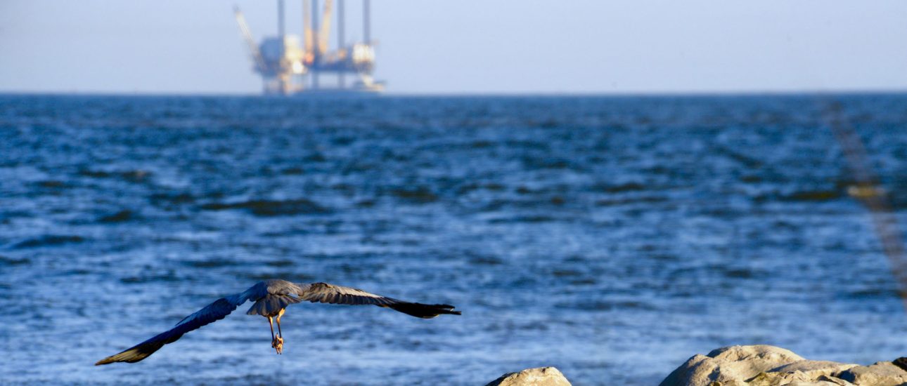 Offshore energy production in the Gulf of Mexico