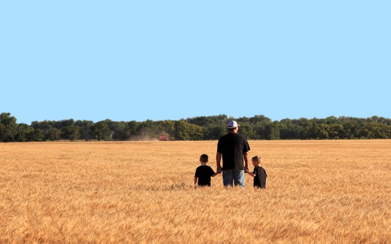 Agriculture: Father and Twin Sons in Wheat Field During Harvest