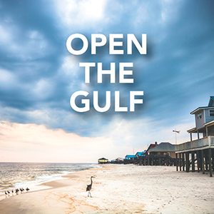 open-the-gulf