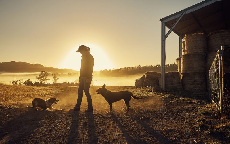 Farmers rise with the sun Farmers rise with the sun