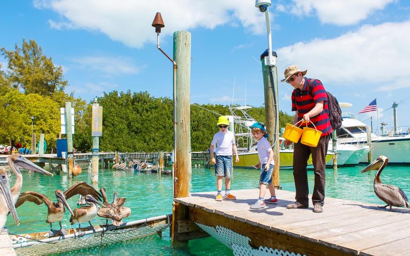 Young father and two little kid boys feeding fishes and big brown pelicans