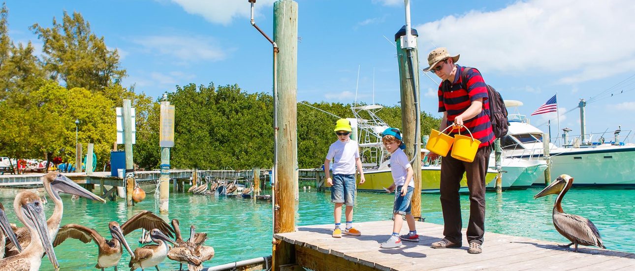 Young father and two little kid boys feeding fishes and big brown pelicans