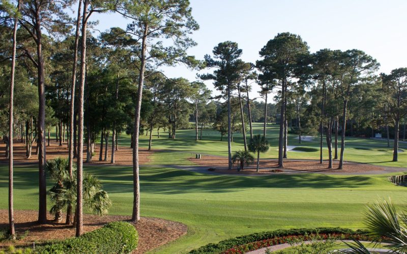 South Carolina Golf Course