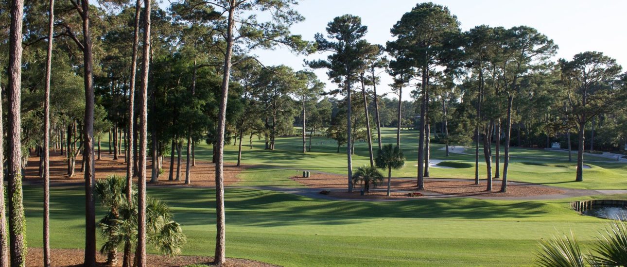 South Carolina Golf Course